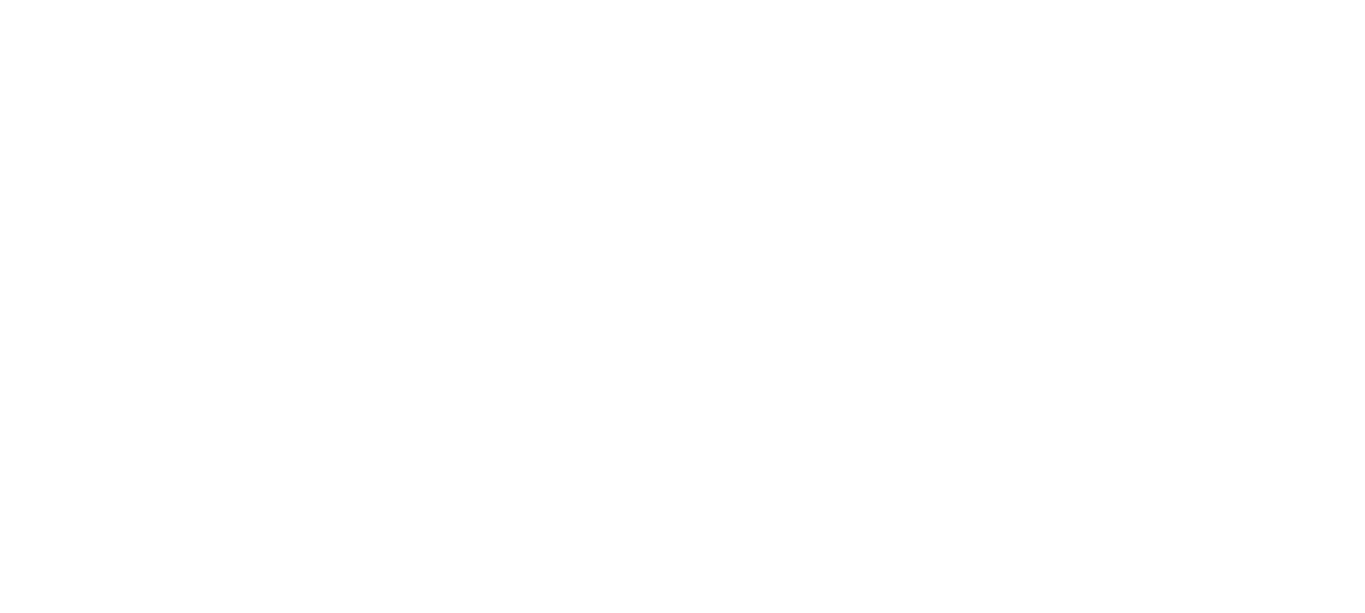 Logo Leila Pugnaloni